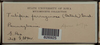 Image Associated With the Occurence